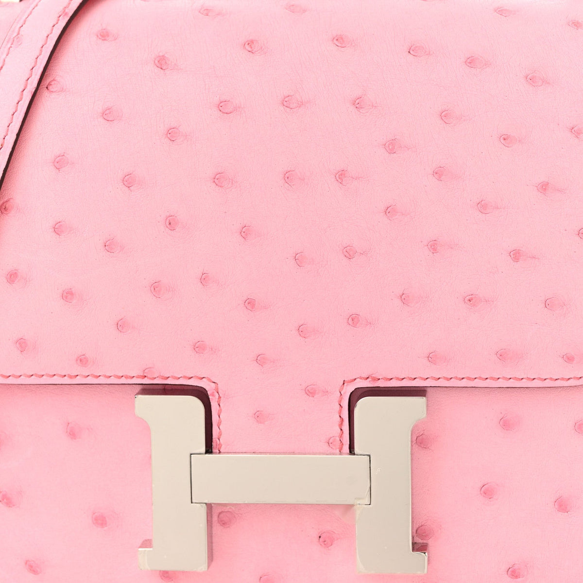 Ostrich Constance 18 Bubblegum