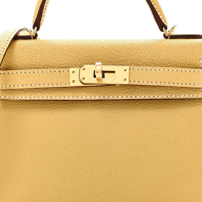 Chevre Mysore Mini Kelly Sellier 20 Foin