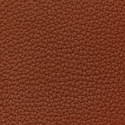 Chévre de Coromandel Plume 32 Gold