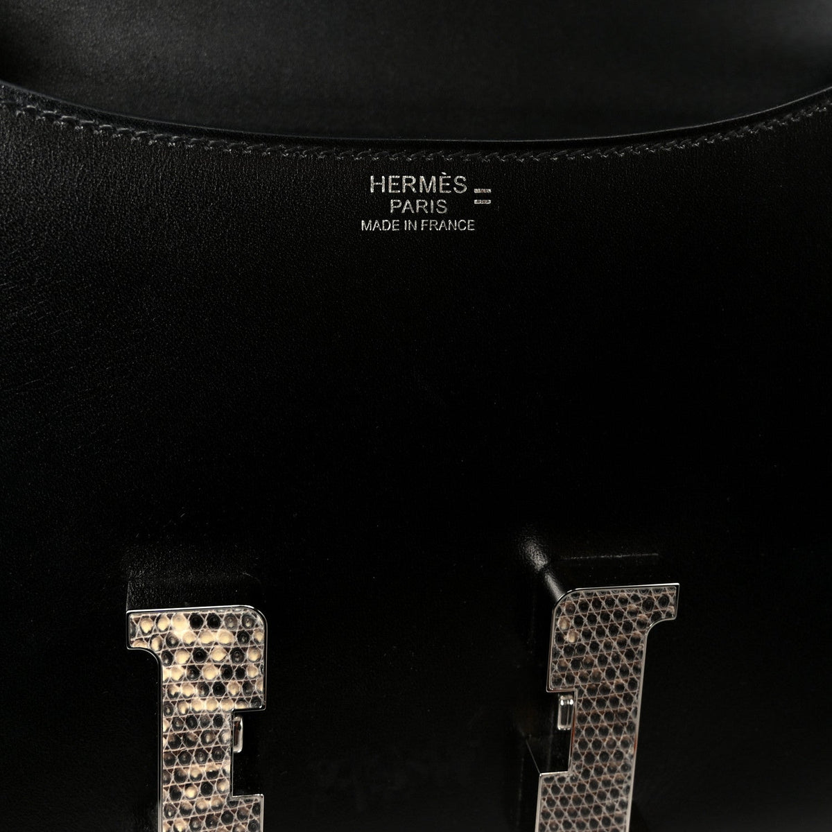 Box Lizard Constance 1-24 Black Ombre