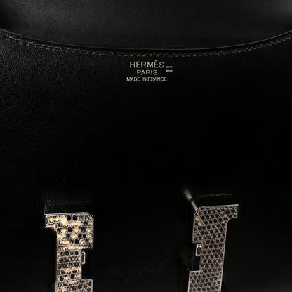 Box Lizard Constance 1-24 Black Ombre
