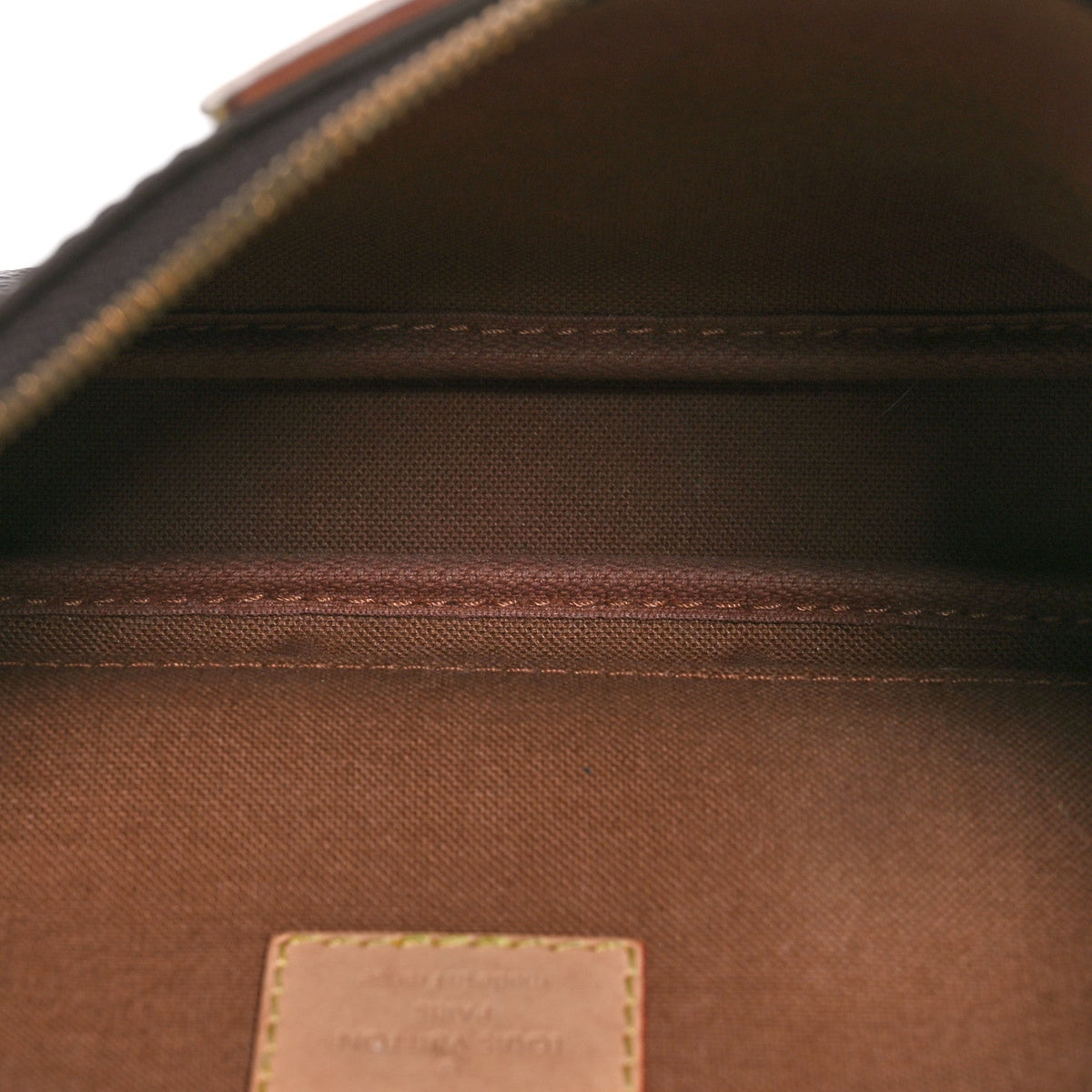 Monogram Multi Pochette Accessories Large Pochette
